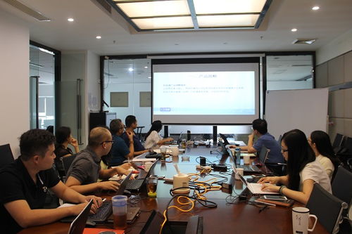 推动生物科技企业转型 IT咨询的价值与实践
